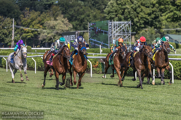 Big Invasion wins the Harvey Pack