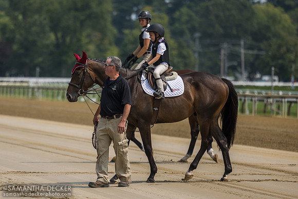 Six year old Rayna Richardson on OTTB Financier, led by her father Ben