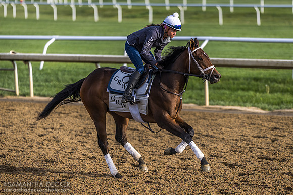 West Memorial - entered in the Schuylerville stakes (rider is Caroline Nally)
