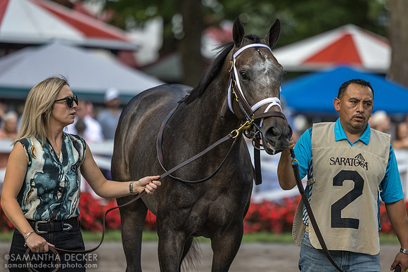 Showcase, winner of the Saratoga Special S.