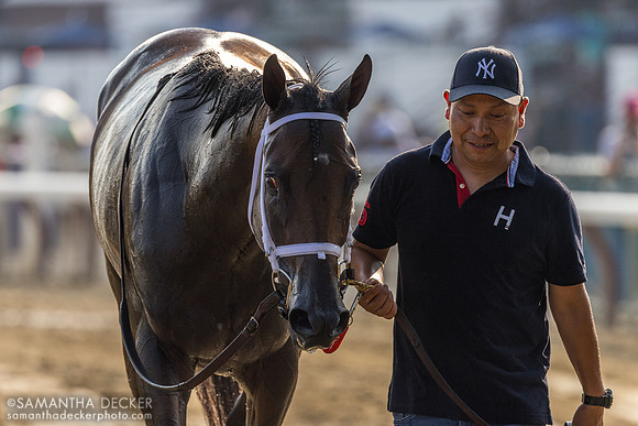 Fierceness wins the Jim Dandy S.