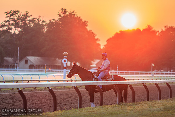 Hall of Fame Trainer Steve Asmussen on His Pony, 2014