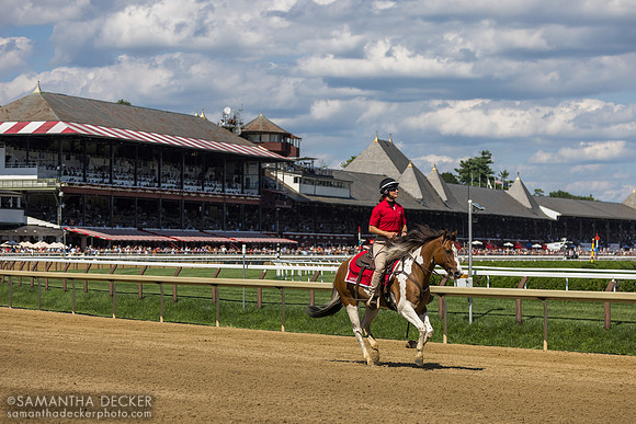 Amanda Villafranco on Sunny