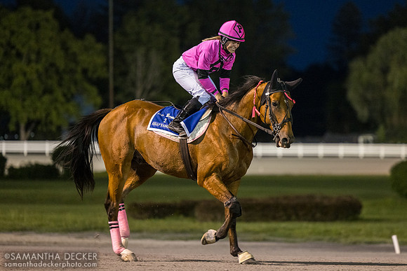 Katie Davis rides Echo de Meautis FR