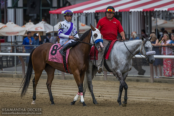 Spirit of Esther, winner of R6