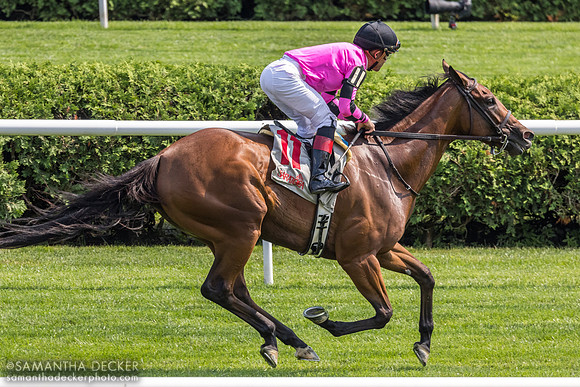 Strictly Taboo w/Joel Rosario win R6