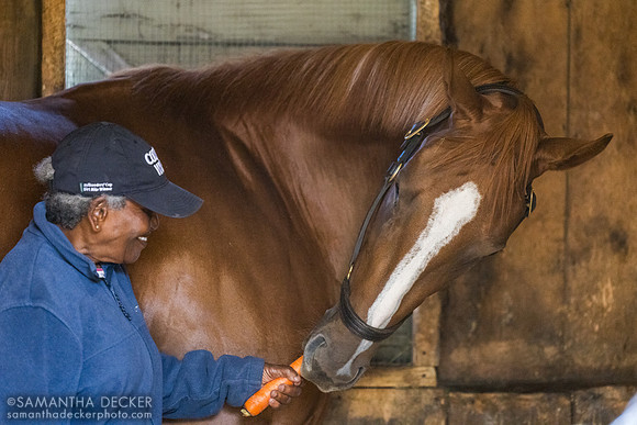 Erma feeds Margot's Angel a carrot - named for Bill Mott's late granddaughter