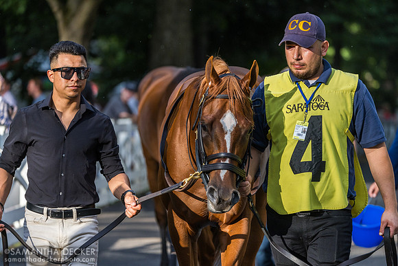 Carson's Run, winner of the Saratoga Derby