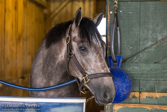 Go Long, John Terranova barn