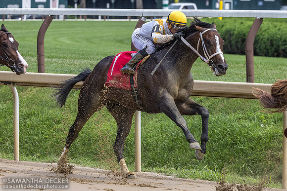 Ferocious wins R6