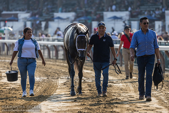 Fierceness wins the Jim Dandy S.