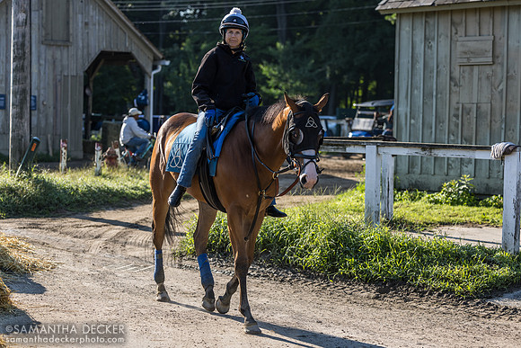 Lara Duggan, I think she said the horse's name was Kenny B but I can't find it on Equibase