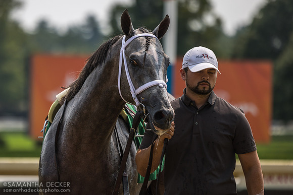 Manhattan Twist during the inquiry