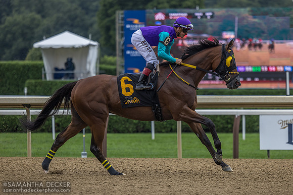 Nelson Avenue, winner of R5