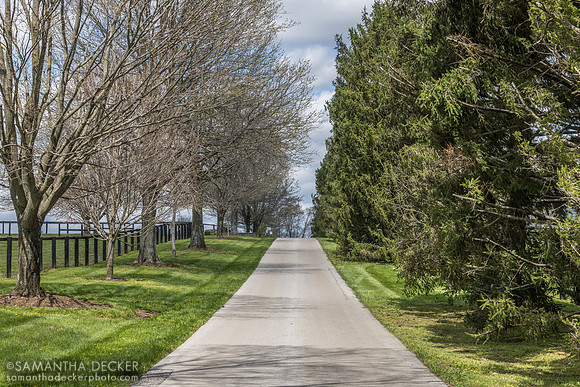 Denali Stud, Paris, KY