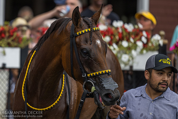 Nelson Avenue wins R5