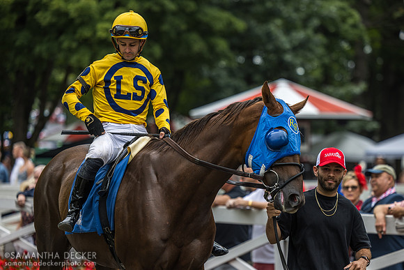 Bank Frenzy, winner of the Evan Shipman H.