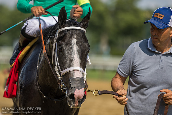 Tough Catch w/Luis Saez win R7