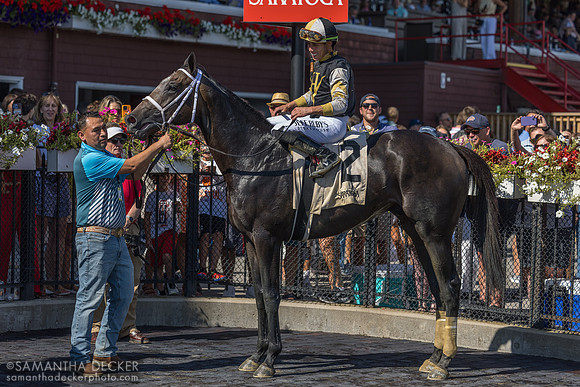 Showcase wins the Saratoga Special S.
