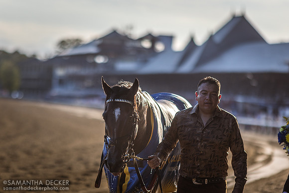 Olympiad wins the Grade I Jockey Club Gold Cup