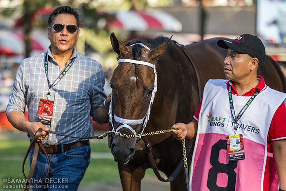 Fierceness being walked in the paddock