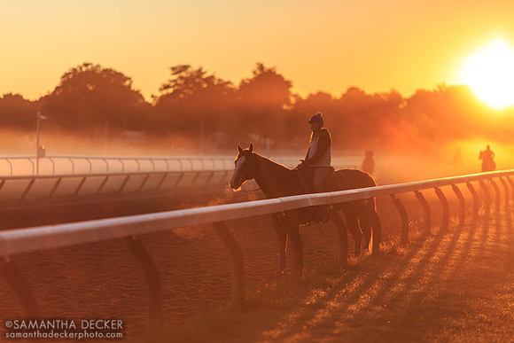 Oklahoma Training Track, 2014