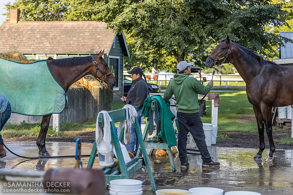 Mott trainees on the washpad