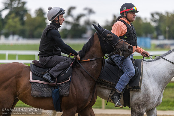 Verbier, jockey Eddy Greatrex onboard