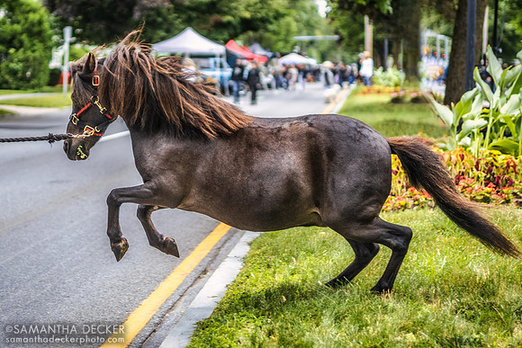 Upset Outside the National Museum of Racing and Hall of Fame, Saratoga Springs, NY, 2022