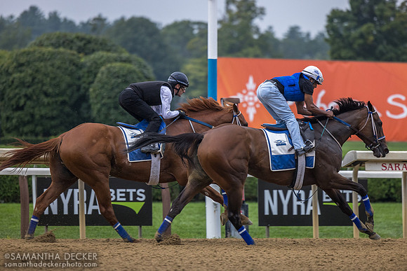 Danny Ramsey on Thorpedo Anna, breezing in company with Elko County