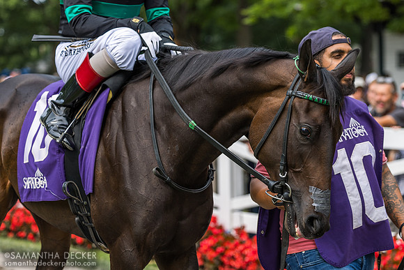Reining Flowers, winner of R6