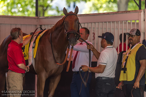 Incentive Pay, winner of R7, Chad Brown saddling