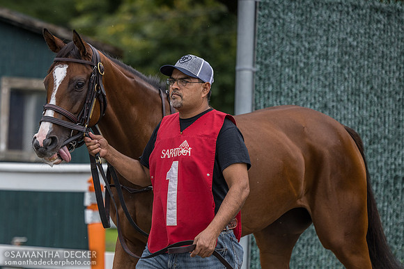 Aspen Grove, winner of R5
