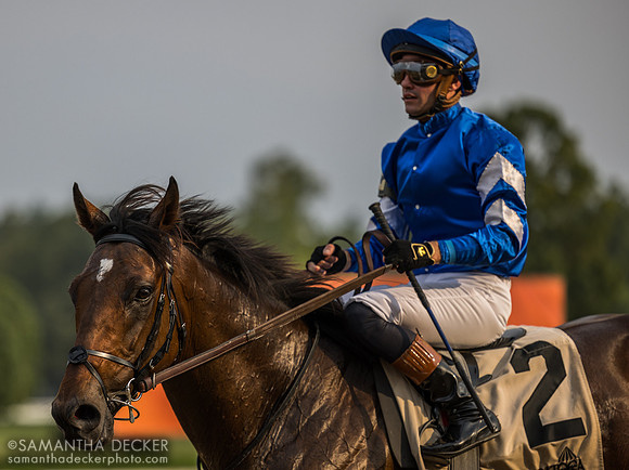 Silver Knott wins the Bowling Green S.