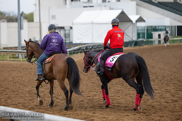 Admire Daytona, Churchill Downs, 2025