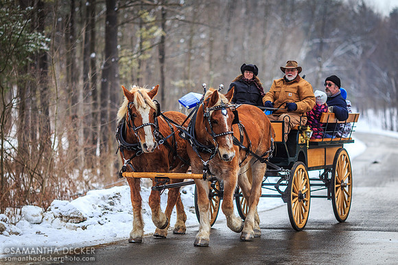Horse Drawn Carriage at the Frost Faire, 2015