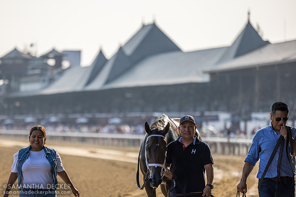 Fierceness wins the Jim Dandy S.