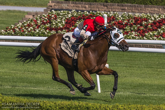 Spinning Colors wins the Mount Vernon