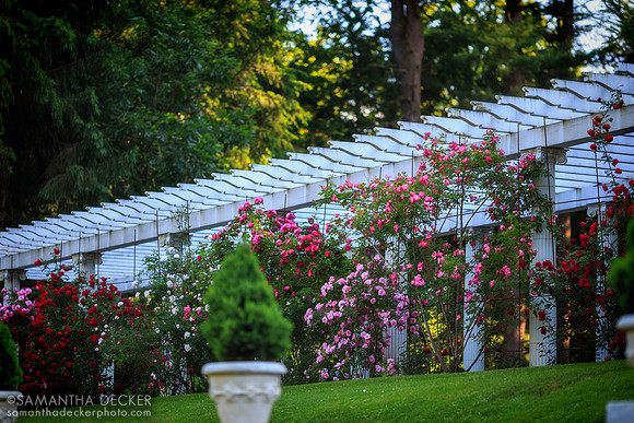 Yaddo Gardens, Saratoga Springs