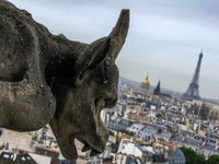 Notre-Dame de Paris