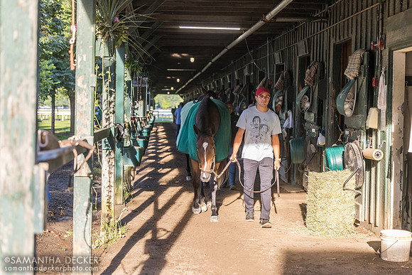 Mott trainees walking the shedrow