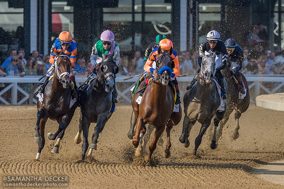 Around the clubhouse turn in the Jim Dandy S.
