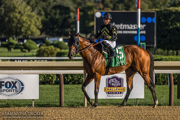 Running Bee wins the Bernard Baruch