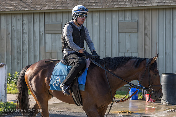 Gimme Gimme, Duggan barn