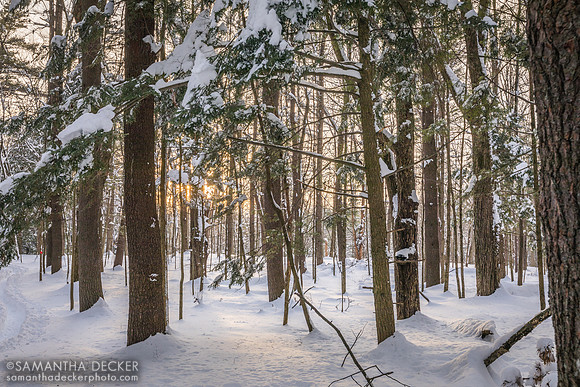 Saratoga Spa State Park in Winter
