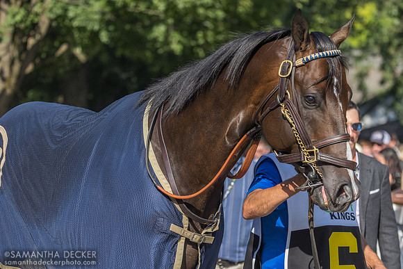 Mullikin, winner of the Forego