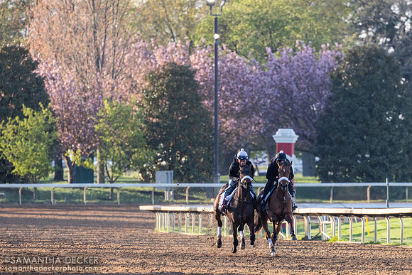 Keeneland, Lexington, KY, 2025