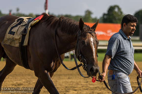Complete Agenda, winner of R7 by DQ