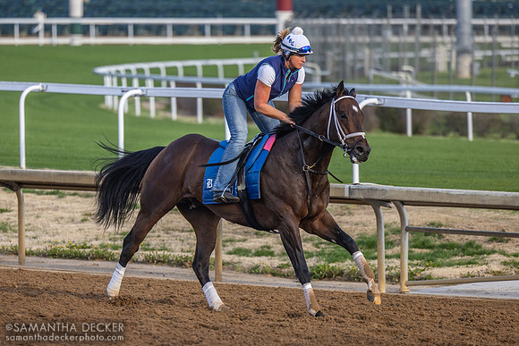 Katie Tolbert on a Brad Cox trainee, Churchill Downs, 2025