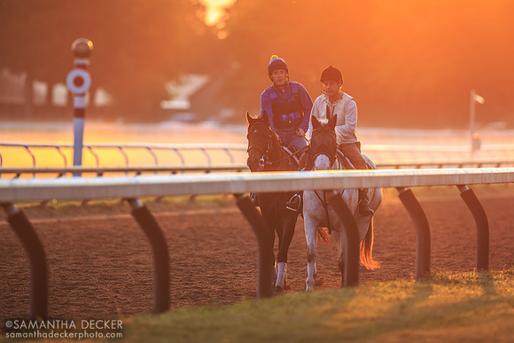 Oklahoma Training Track, Saratoga Springs, 2014
